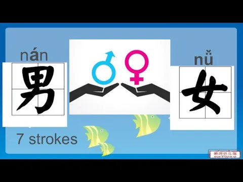 nǚ nán 7 strokes