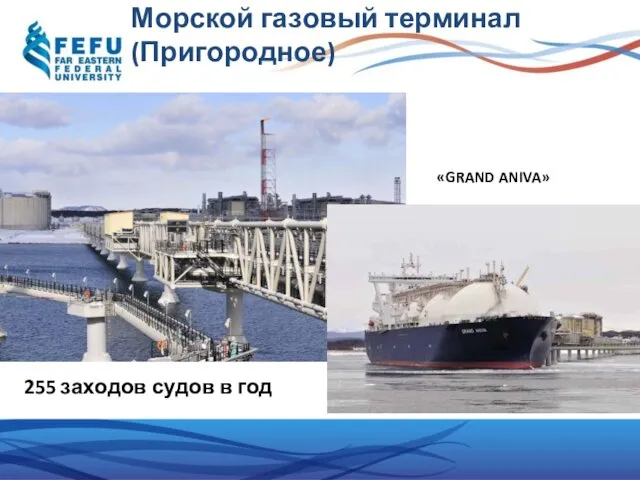 Морской газовый терминал (Пригородное) «GRAND ANIVA» 255 заходов судов в год