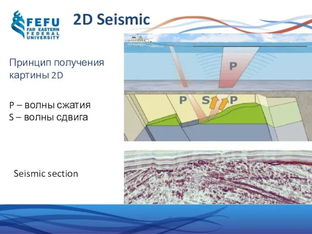 2D Seismic Принцип получения картины 2D P – волны сжатия S – волны сдвига Seismic section