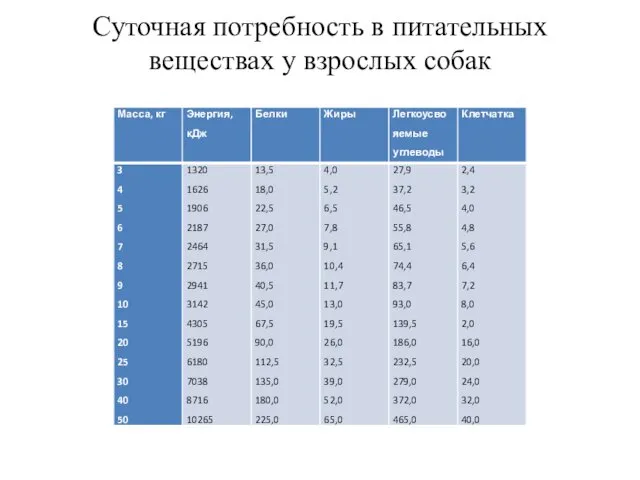 Суточная потребность в питательных веществах у взрослых собак