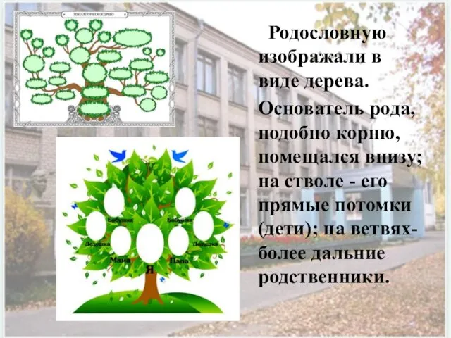 Родословную изображали в виде дерева. Основатель рода, подобно корню, помещался внизу;