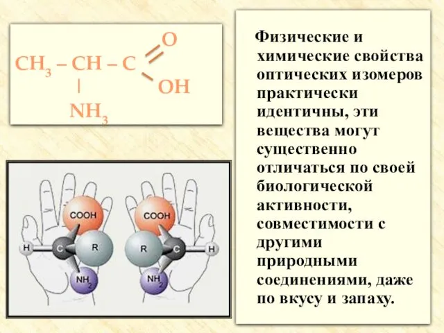 Физические и химические свойства оптических изомеров практически идентичны, эти вещества могут