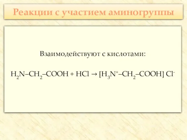 Реакции с участием аминогруппы Взаимодействуют с кислотами: H2N–CH2–COOH + HCl → [H3N+–CH2–COOH] Cl-