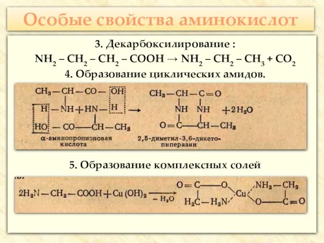 Особые свойства аминокислот 3. Декарбоксилирование : NH2 – CH2 – CH2