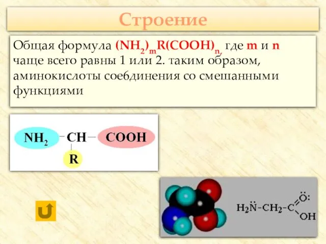 Строение Общая формула (NH2)mR(COOH)n, где m и n чаще всего равны