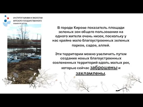 В городе Кирове показатель площади зеленых зон общего пользования на одного