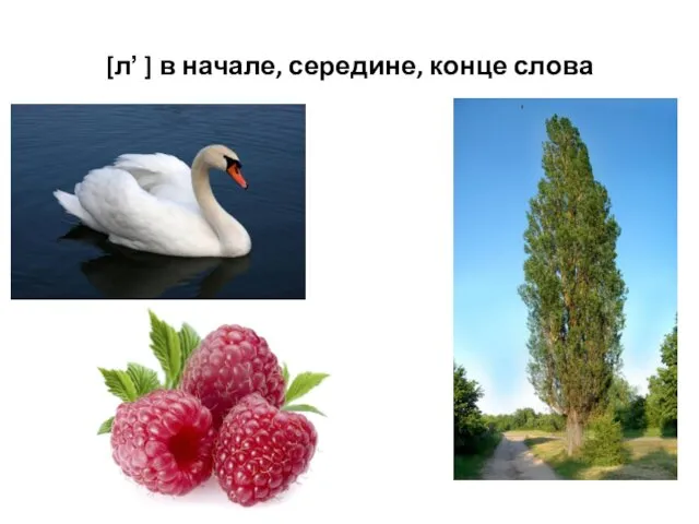 [л̕ ] в начале, середине, конце слова