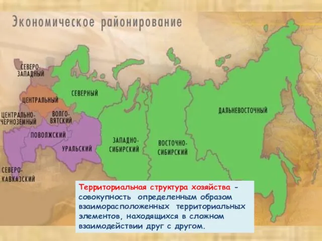 Территориальная структура хозяйства - совокупность определенным образом взаиморасположенных территориальных элементов, находящихся