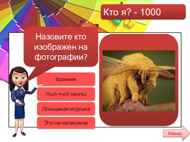 Кто я? - 1000 Бражник Плющевая игрушка Это не насекомое Plush