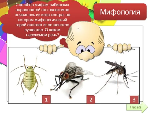 Мифология Согласно мифам сибирских народностей это насекомое появилось из искр костра,