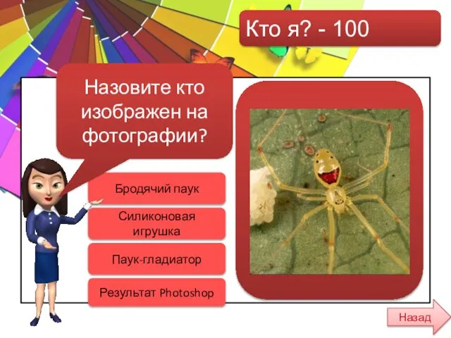 Кто я? - 100 Бродячий паук Силиконовая игрушка Результат Photoshop Паук-гладиатор