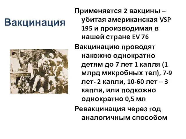 Вакцинация Применяется 2 вакцины – убитая американская VSP 195 и производимая