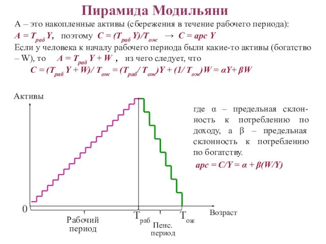 Пирамида Модильяни 0 Рабочий период Пенс. период Tраб Tож Активы Возраст