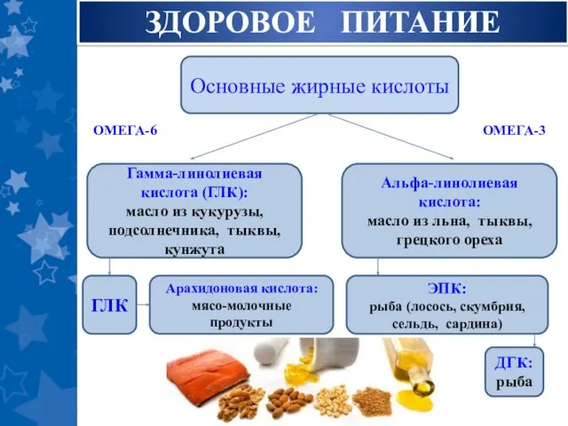 ЗДОРОВОЕ ПИТАНИЕ Основные жирные кислоты Гамма-линолиевая кислота (ГЛК): масло из кукурузы,