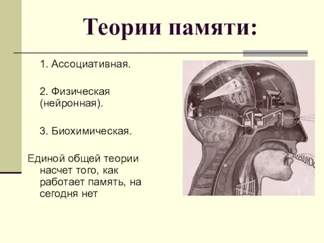 Теории памяти: 1. Ассоциативная. 2. Физическая (нейронная). 3. Биохимическая. Единой общей