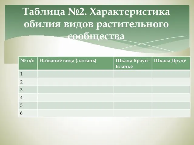 Таблица №2. Характеристика обилия видов растительного сообщества