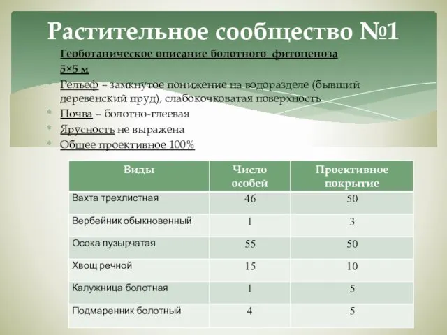 Геоботаническое описание болотного фитоценоза 5×5 м Рельеф – замкнутое понижение на