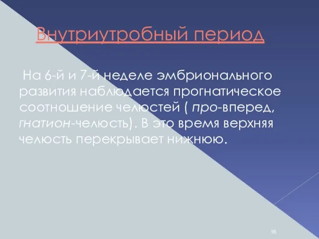 Внутриутробный период На 6-й и 7-й неделе эмбрионального развития наблюдается прогнатическое