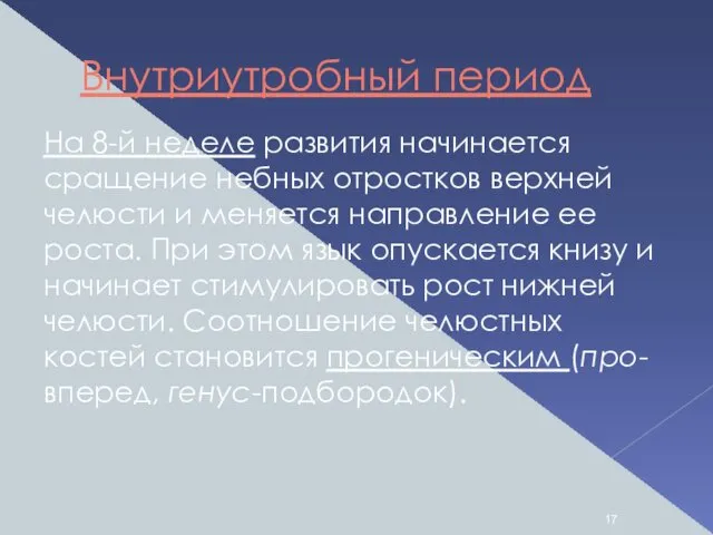 Внутриутробный период На 8-й неделе развития начинается сращение небных отростков верхней