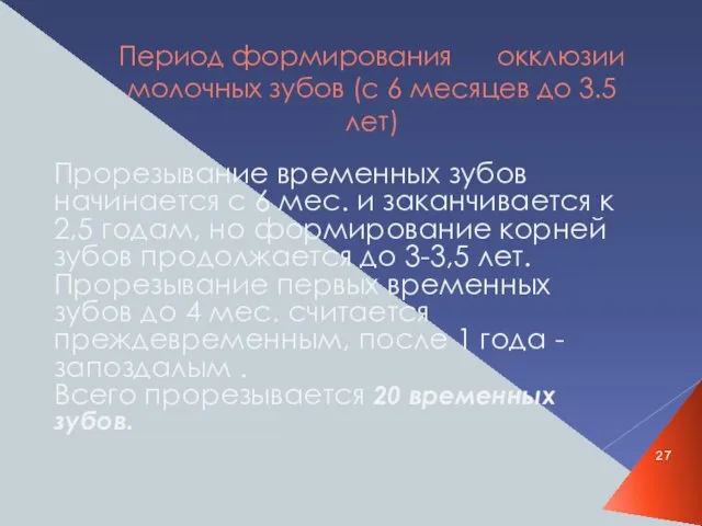 Период формирования окклюзии молочных зубов (с 6 месяцев до 3.5 лет)