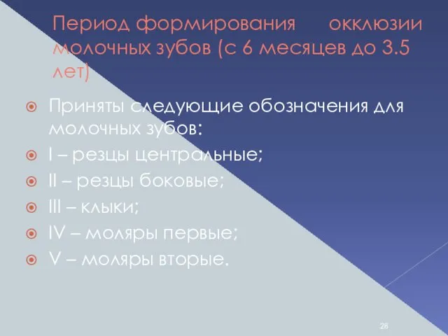 Период формирования окклюзии молочных зубов (с 6 месяцев до 3.5 лет)