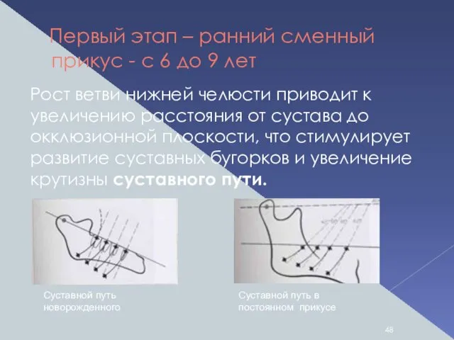 Первый этап – ранний сменный прикус - с 6 до 9