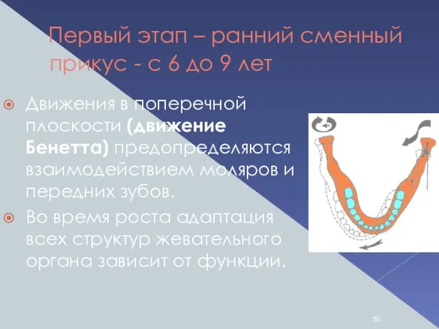 Первый этап – ранний сменный прикус - с 6 до 9