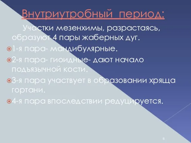 Внутриутробный период: Участки мезенхимы, разрастаясь, образуют 4 пары жаберных дуг. 1-я