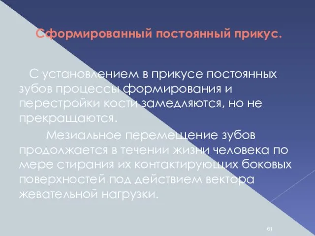 Сформированный постоянный прикус. С установлением в прикусе постоянных зубов процессы формирования