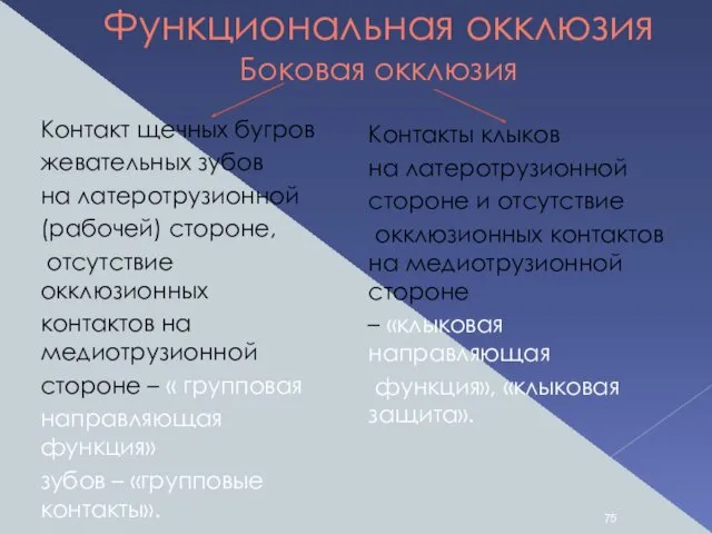 Функциональная окклюзия Боковая окклюзия Контакт щечных бугров жевательных зубов на латеротрузионной