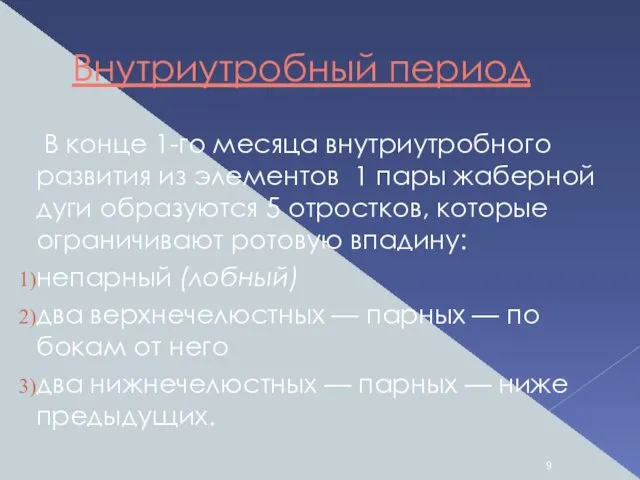 Внутриутробный период В конце 1-го месяца внутриутробного развития из элементов 1