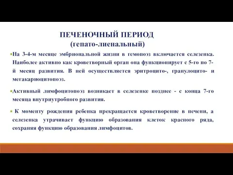 На 3-4-м месяце эмбриональной жизни в гемопоэз включается селезенка. Наиболее активно