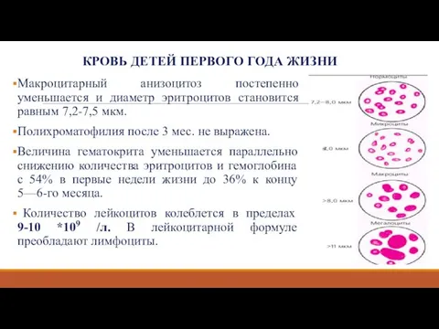 КРОВЬ ДЕТЕЙ ПЕРВОГО ГОДА ЖИЗНИ Макроцитарный анизоцитоз постепенно уменьшается и диаметр