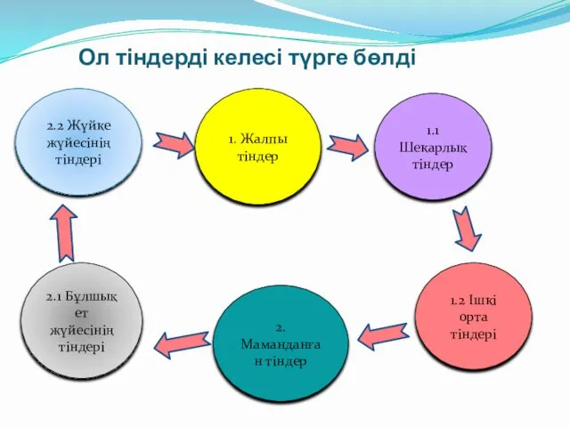 Ол тіндерді келесі түрге бөлді 1. Жалпы тіндер 1.1 Шекарлық тіндер