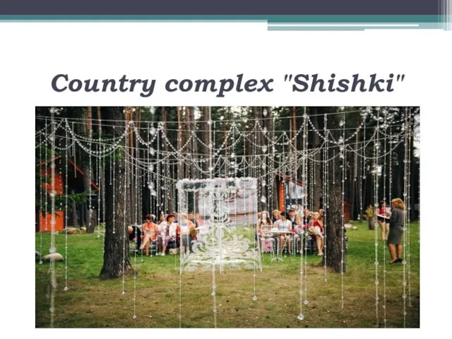 Country complex "Shishki"