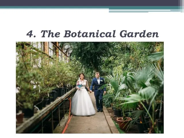 4. The Botanical Garden