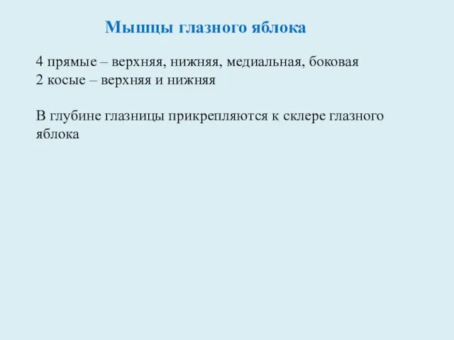 Мышцы глазного яблока 4 прямые – верхняя, нижняя, медиальная, боковая 2