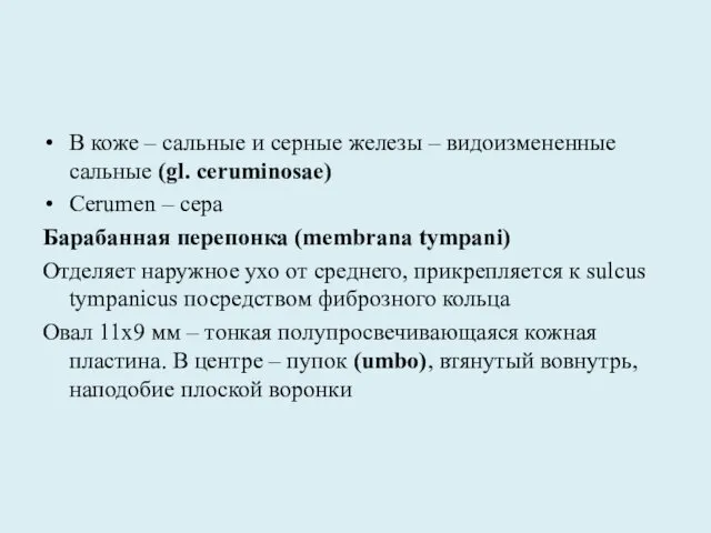 В коже – сальные и серные железы – видоизмененные сальные (gl.