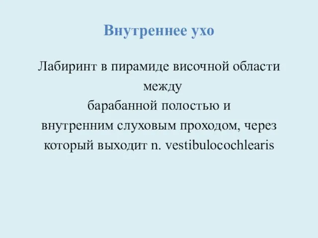 Внутреннее ухо Лабиринт в пирамиде височной области между барабанной полостью и