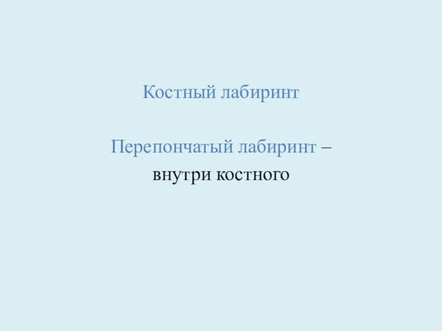 Костный лабиринт Перепончатый лабиринт – внутри костного