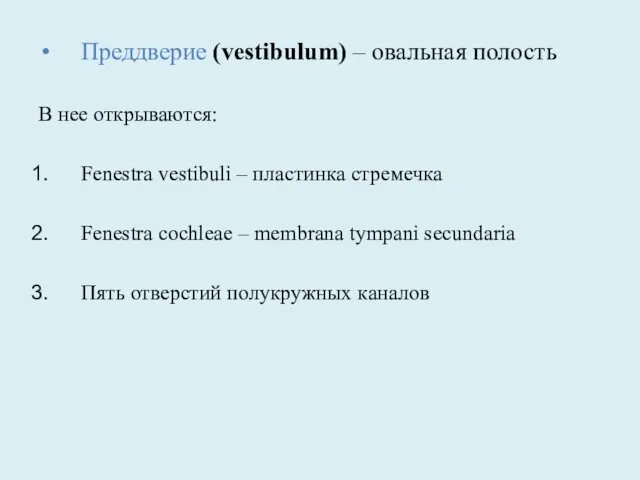 Преддверие (vestibulum) – овальная полость В нее открываются: Fenestra vestibuli –