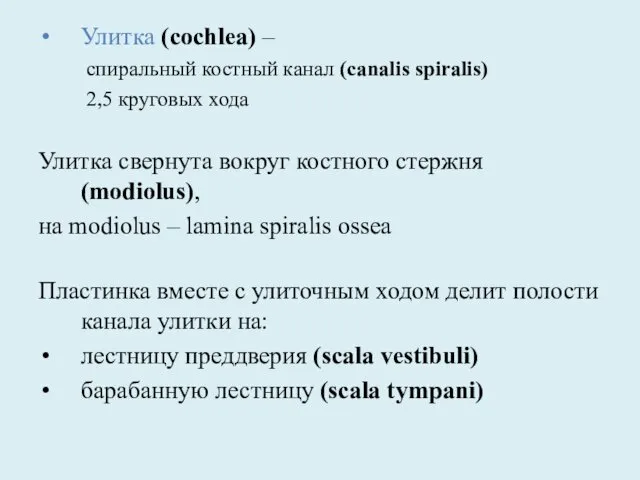 Улитка (cochlea) – спиральный костный канал (canalis spiralis) 2,5 круговых хода