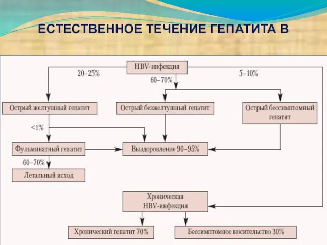 ЕСТЕСТВЕННОЕ ТЕЧЕНИЕ ГЕПАТИТА В