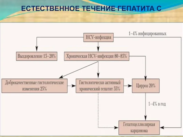 ЕСТЕСТВЕННОЕ ТЕЧЕНИЕ ГЕПАТИТА С