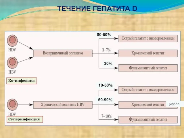 ТЕЧЕНИЕ ГЕПАТИТА D Ко-инфекция Суперинфекция 30% 50-60% 60-90% 10-30% цирроз