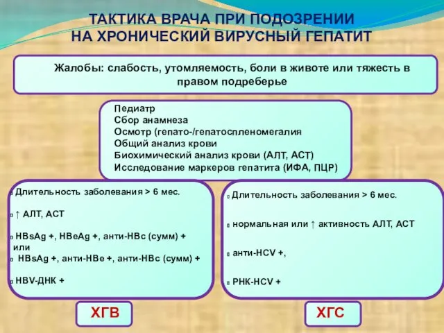 ТАКТИКА ВРАЧА ПРИ ПОДОЗРЕНИИ НА ХРОНИЧЕСКИЙ ВИРУСНЫЙ ГЕПАТИТ Жалобы: слабость, утомляемость,