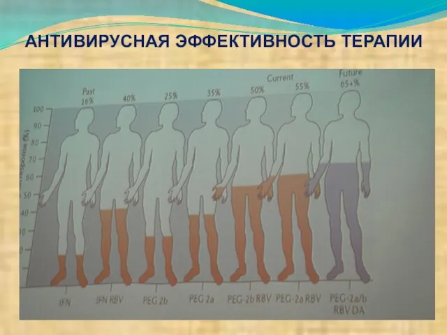 АНТИВИРУСНАЯ ЭФФЕКТИВНОСТЬ ТЕРАПИИ