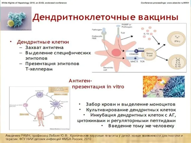 Академия РАМН, профессор Лобзин Ю.Ф. Хронические вирусные гепатиты у детей: новые