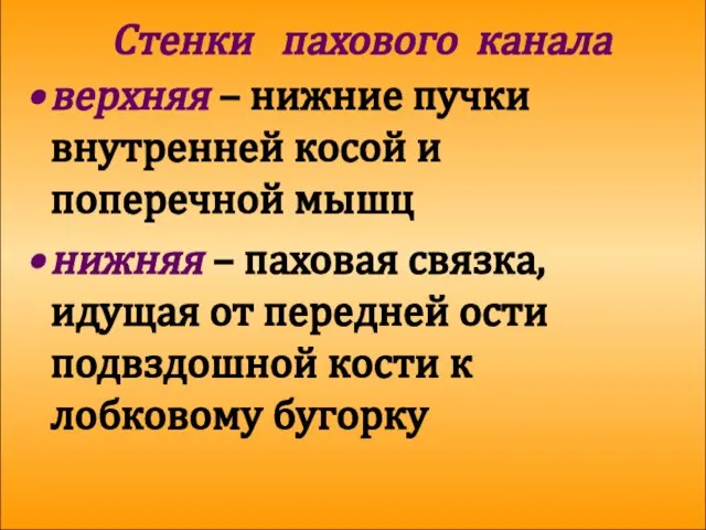 Стенки пахового канала верхняя – нижние пучки внутренней косой и поперечной