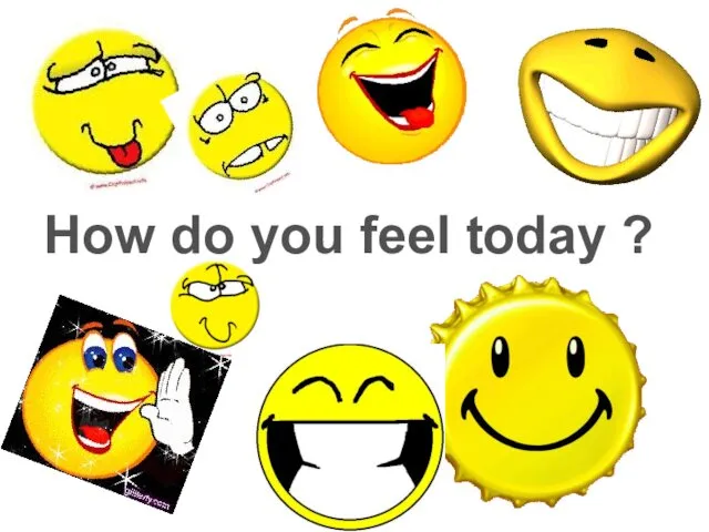 How do you feel today ?